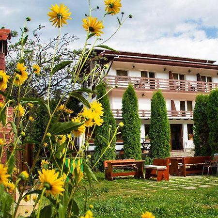 Pensiunea Amada Leresti Exteriér fotografie