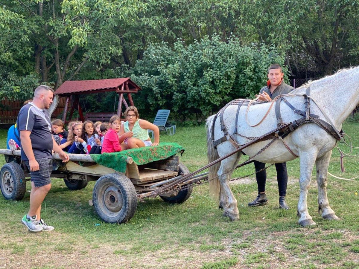 Pensiunea Amada Leresti Exteriér fotografie