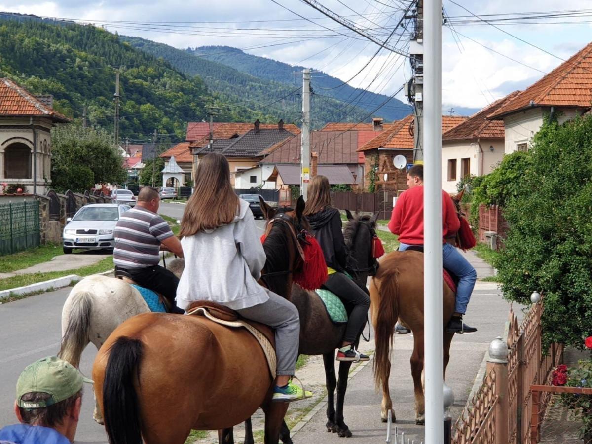 Pensiunea Amada Leresti Exteriér fotografie